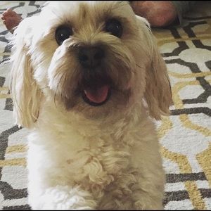 Meet your Posher, Katkatelynn